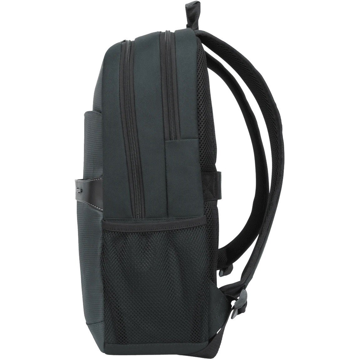 Targus Geolite Advanced TSB96201GL Carrying Case (Backpack) for 31.8 cm (12.5") to 39.6 cm (15.6") Notebook, Water Bottle - Ocean