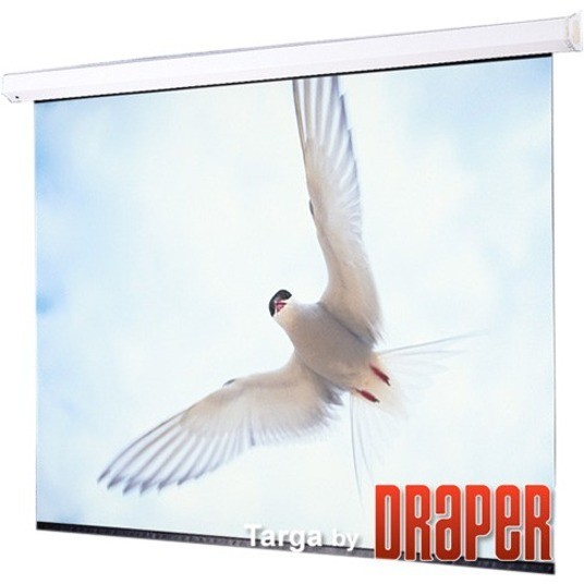 Draper Targa 161" Projection Screen