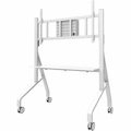 Neomounts by Newstar FL50-575WH1 Floor Stand