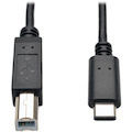 Eaton Tripp Lite Series USB-C to USB-B Cable - USB 2.0, (M/M), 6 ft. (1.83 m)