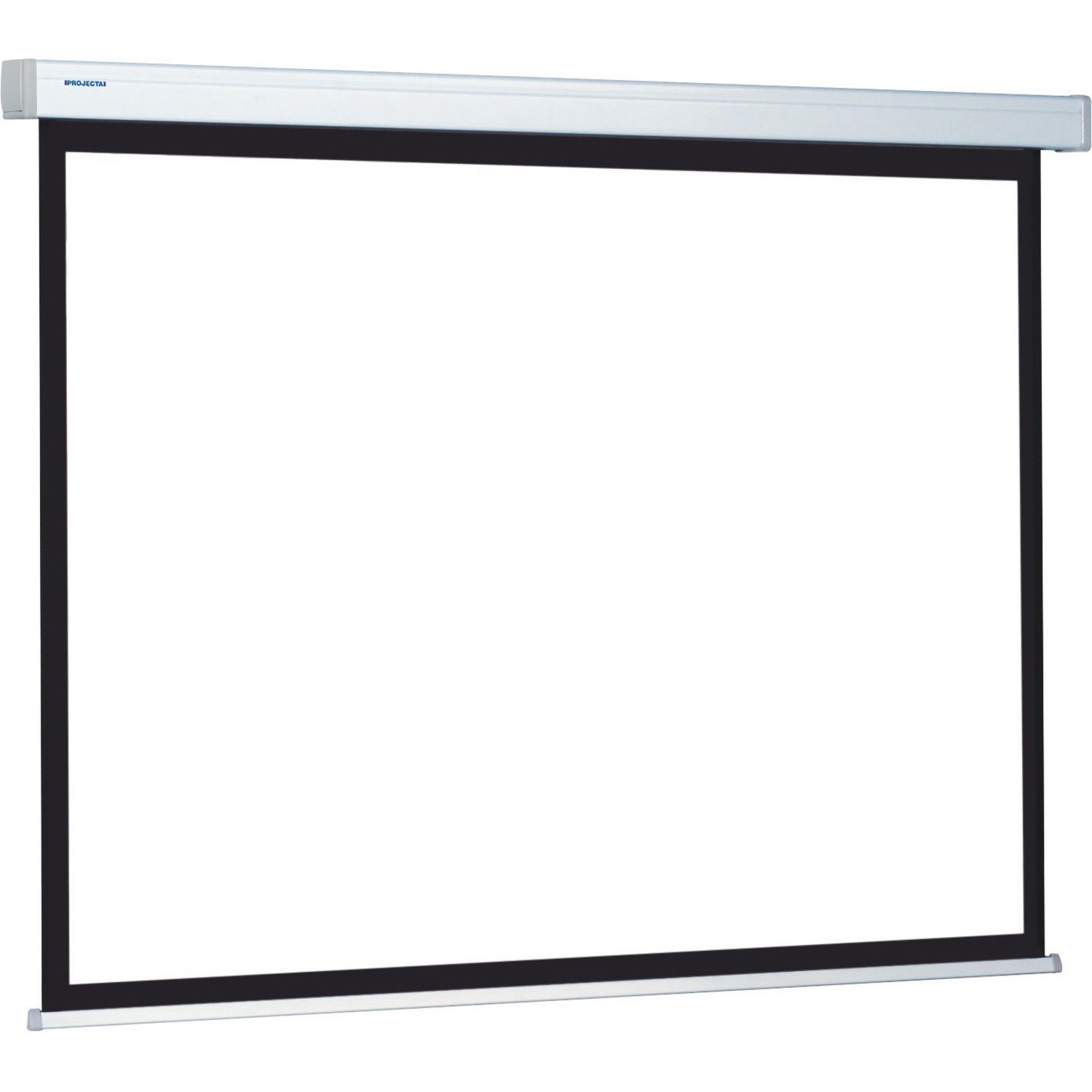 Projecta ProScreen 309,9 cm (122") Handmatig Projectiescherm