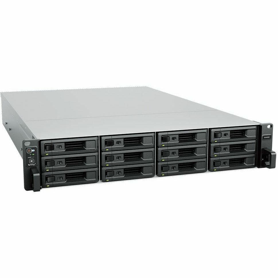Synology SA3400D SAN/NAS Storage System