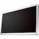 EIZO CuratOR EX3242 32" Class 4K UHD LED Monitor - 16:9 - White