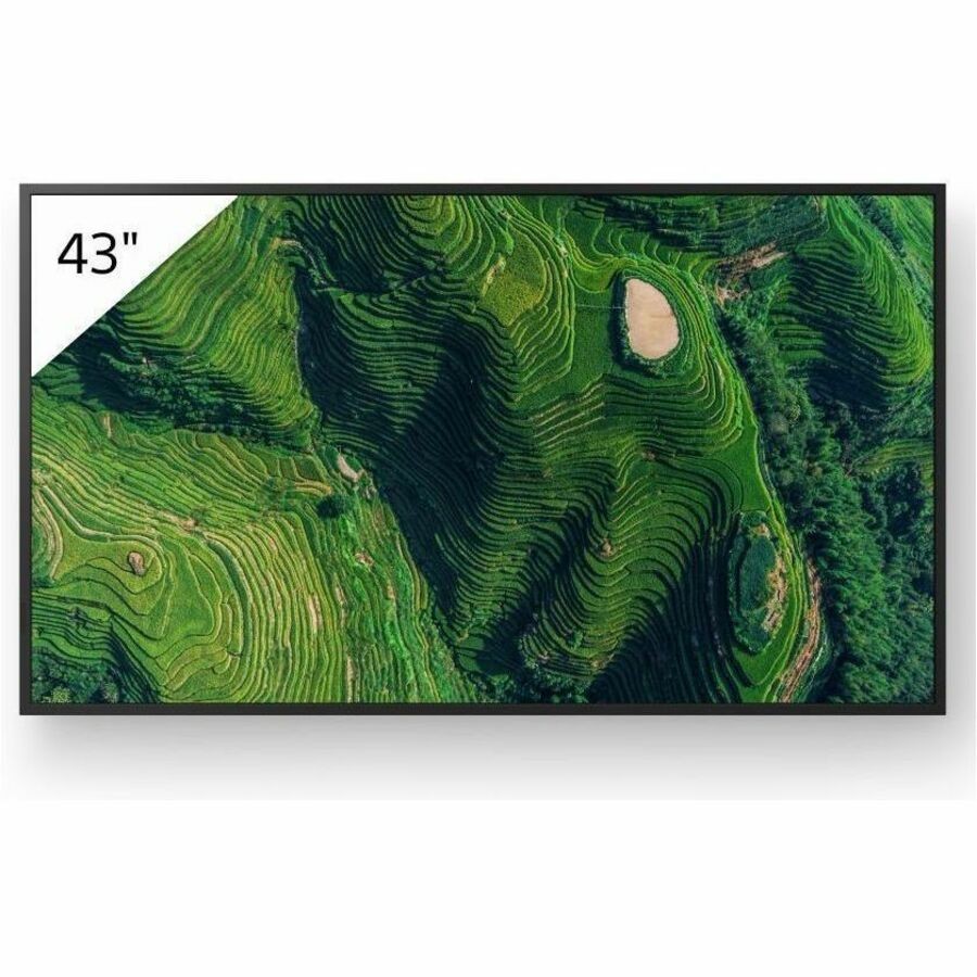 Sony Pro BRAVIA FW-43BZ35P Digital Signage Display