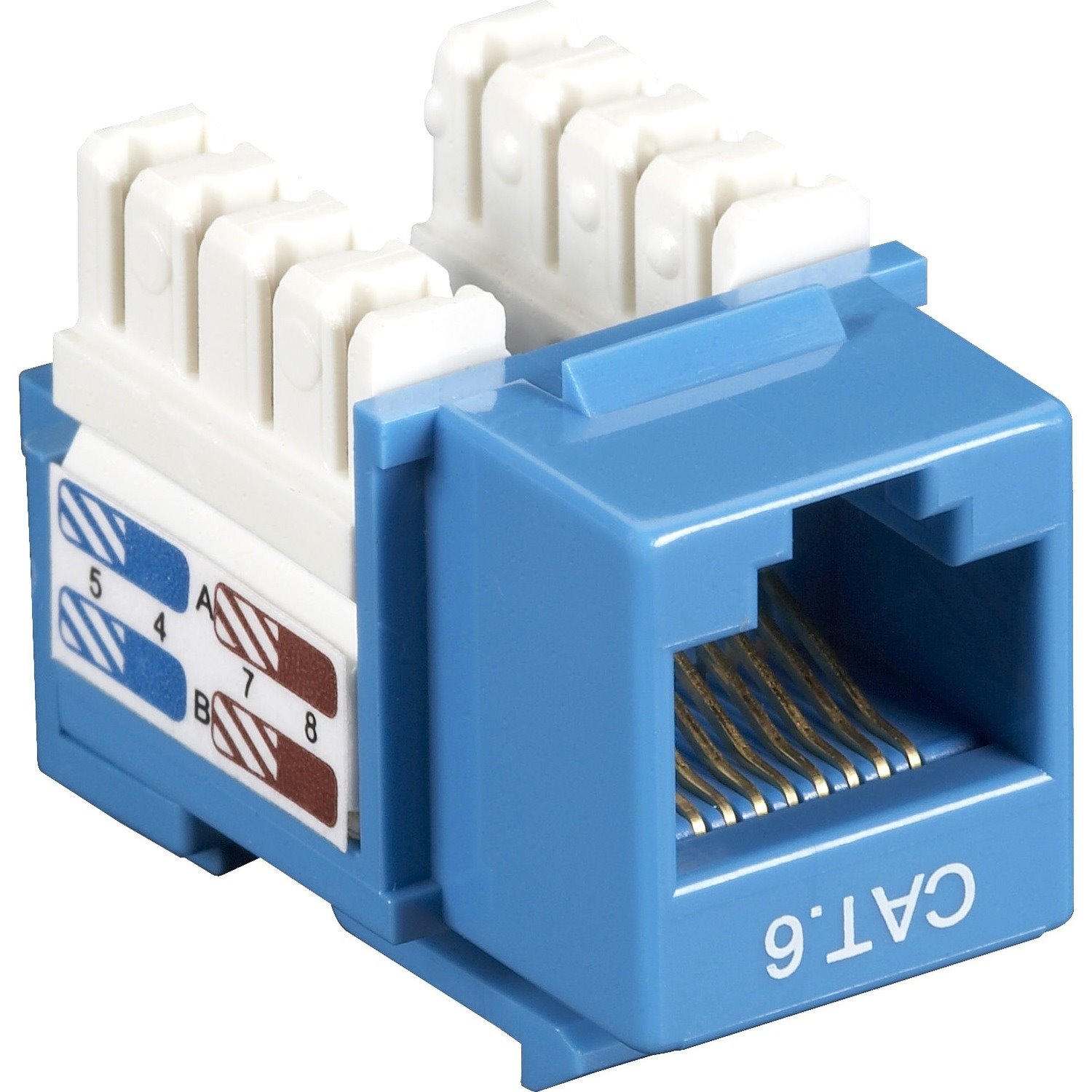 Black Box CAT6 Value Line Keystone Jack, Blue