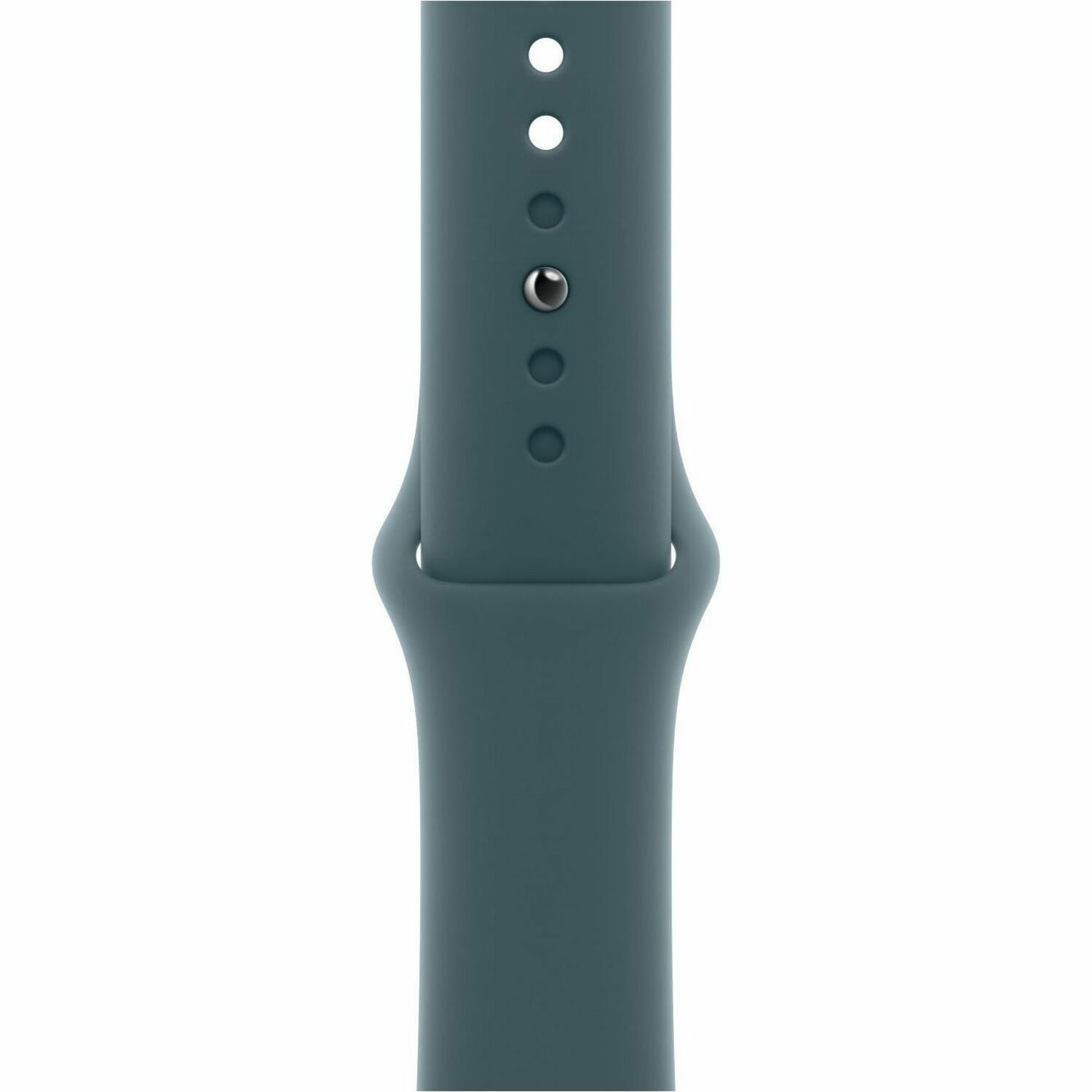 Apple Adjustable Smartwatch Band