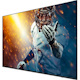 Sharp NEC Display AQUOS 4PB 4P-B50EJ2U 49.5" LED-LCD TV - 4K UHDTV - High Dynamic Range (HDR) - TAA Compliant