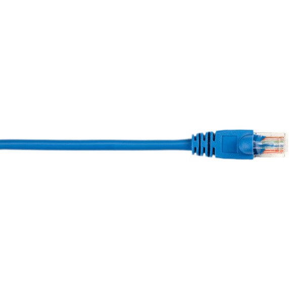 Black Box CAT5e Value Line Patch Cable, Stranded, Blue, 1-ft. (0.3-m), 10-Pack