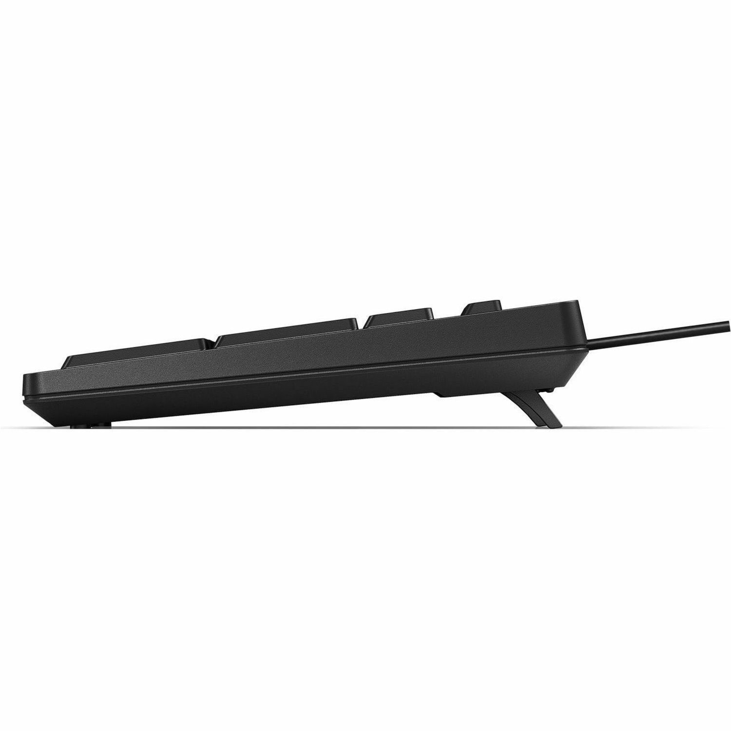 HP 125 Keyboard - Cable Connectivity - USB Type A Interface