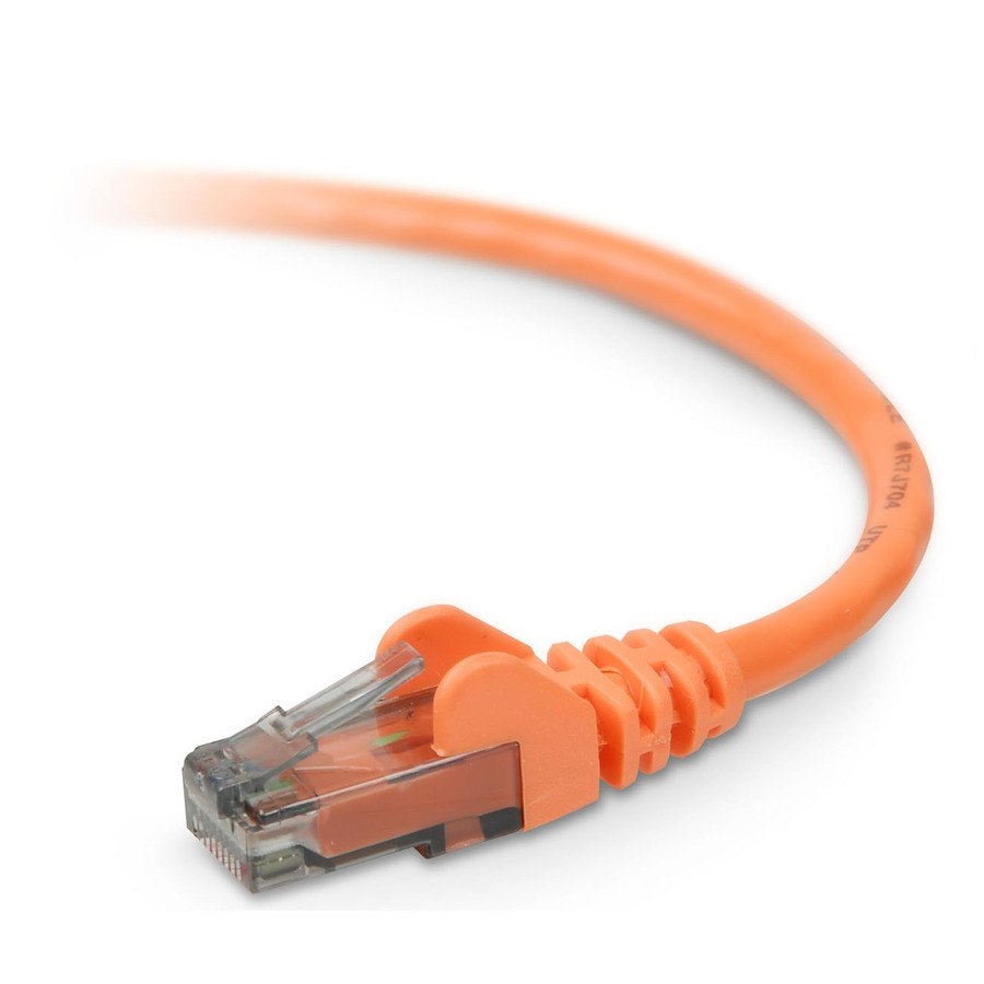 Belkin Cat. 6 UTP Network Patch Cable