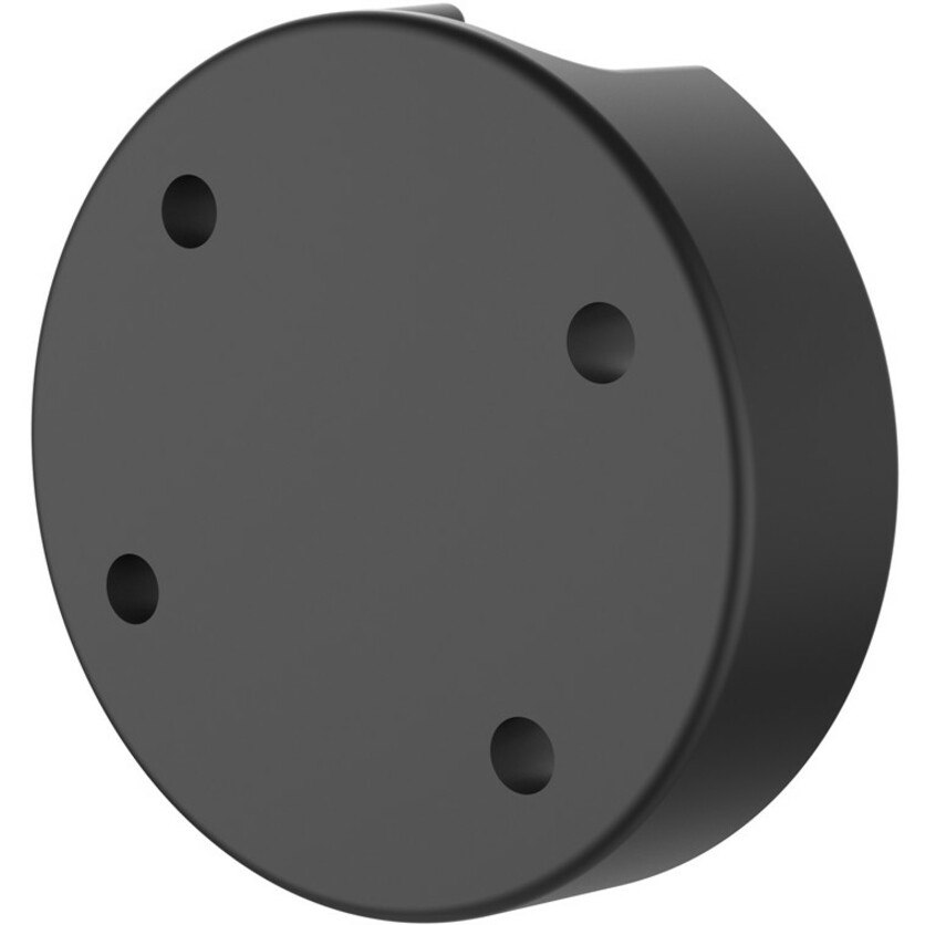 RAM Mounts Mounting Plate