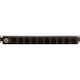 Vertiv Geist Basic 12-Outlets PDU