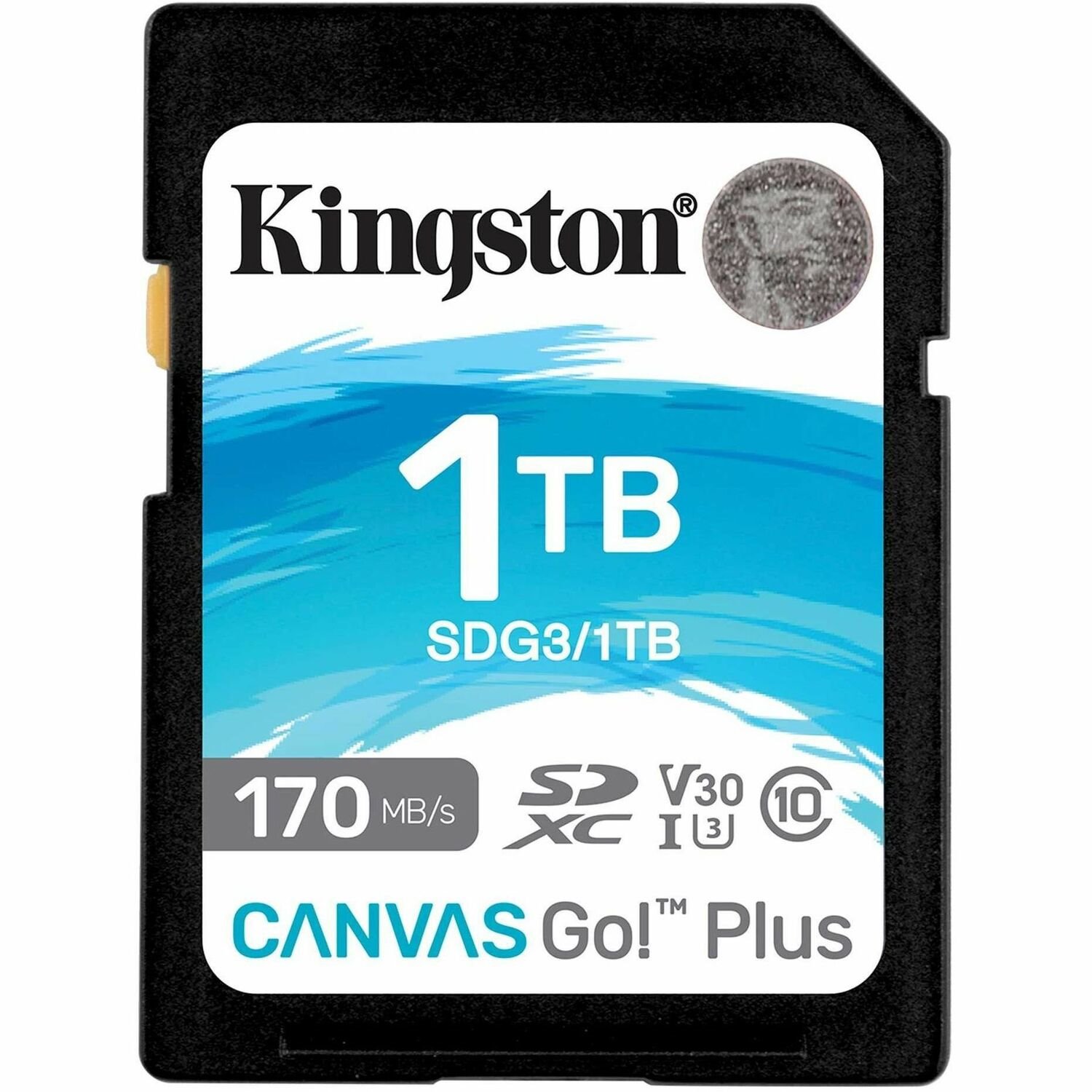 Kingston Canvas Go! Plus 1 TB Class 10/UHS-I (U3) V30 SDXC