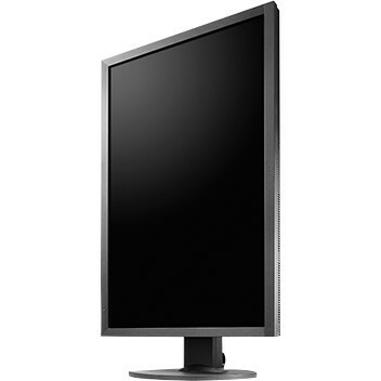 EIZO ColorEdge CS2420 WUXGA LCD Monitor - 16:10 - Black