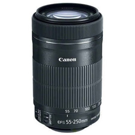 Canon - 55 mm to 250 mmf/5.6 - Telephoto Zoom Lens for Canon EF/EF-S