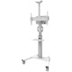 Neomounts FL50S-825WH1 Select Floor Stand