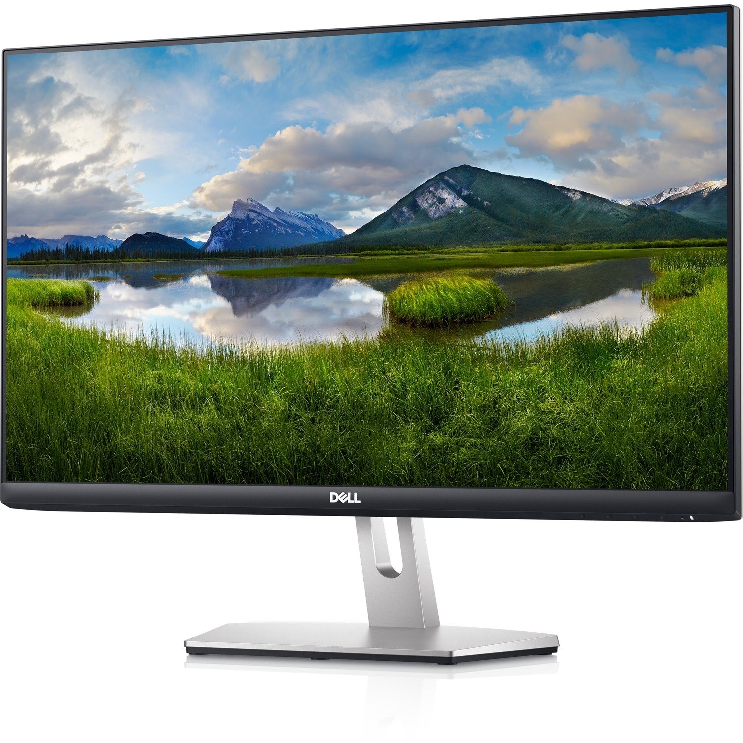 Dell S2421HN 24" Class Full HD LCD Monitor - 16:9 - Black, Silver