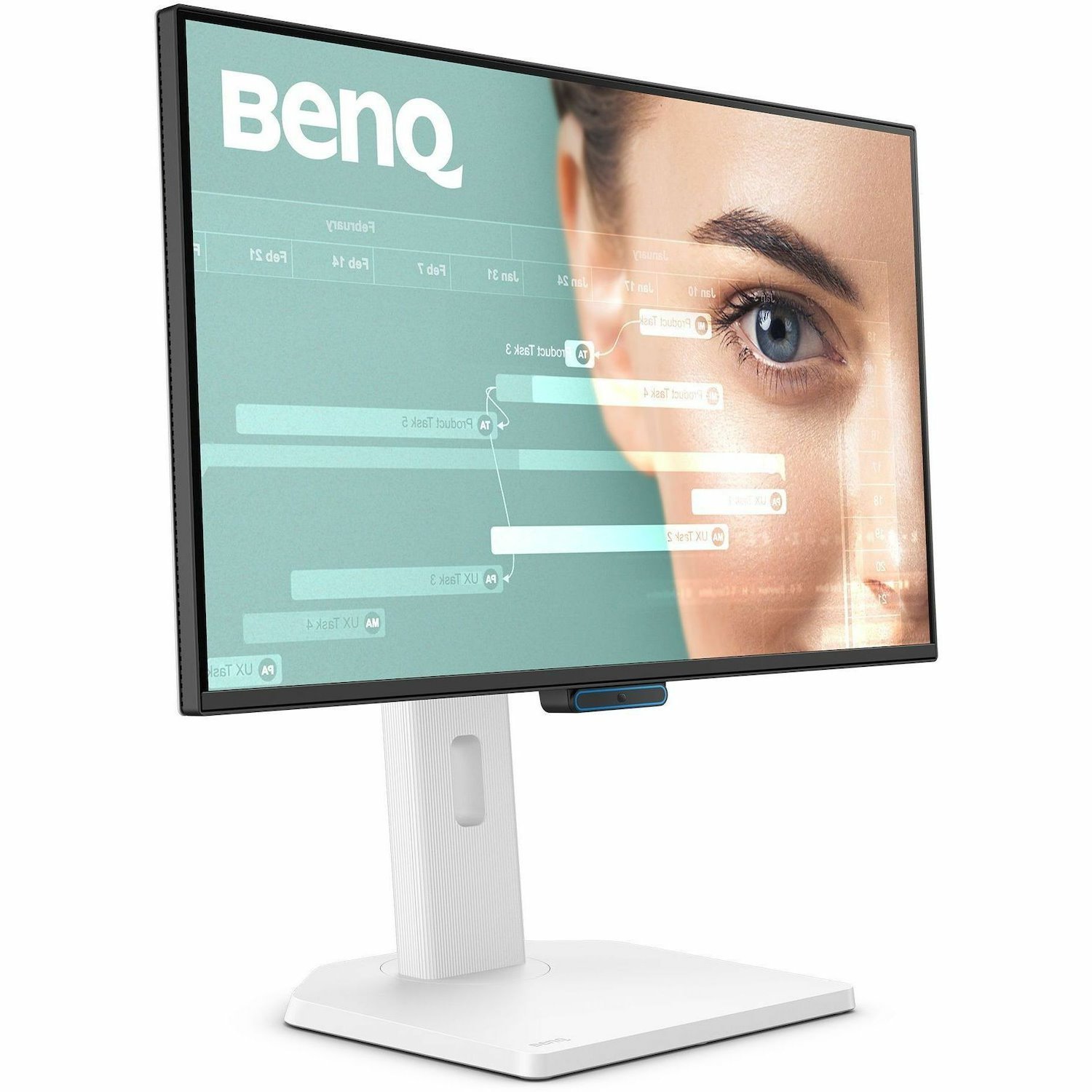 BenQ GW2490TC 24" Class Full HD LED Monitor - 16:9