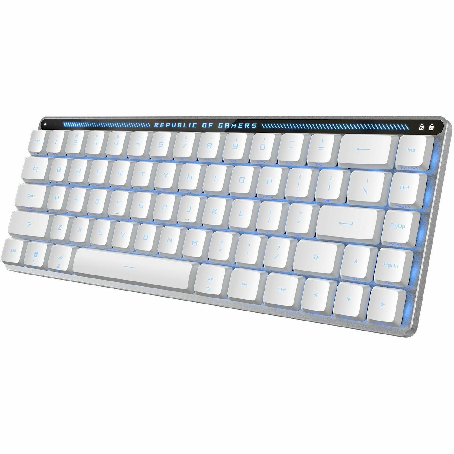 Asus ROG Falchion RX Low Profile Gaming Keyboard - Wired/Wireless Connectivity - USB 2.0 Interface - RGB LED - White