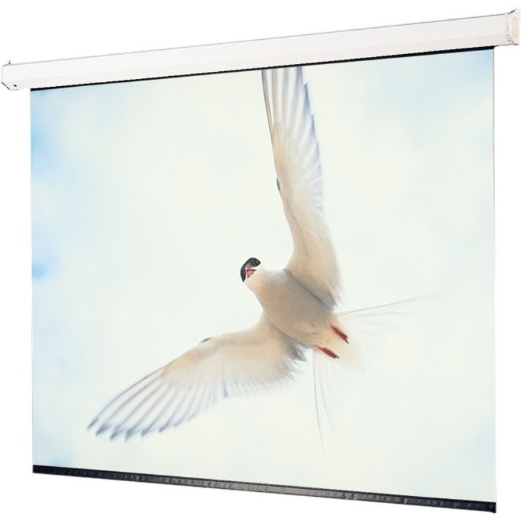 Draper Targa, 110" , HDTV, Matt White XT1000E, 110 V