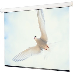Draper Targa XL 240" Projection Screen