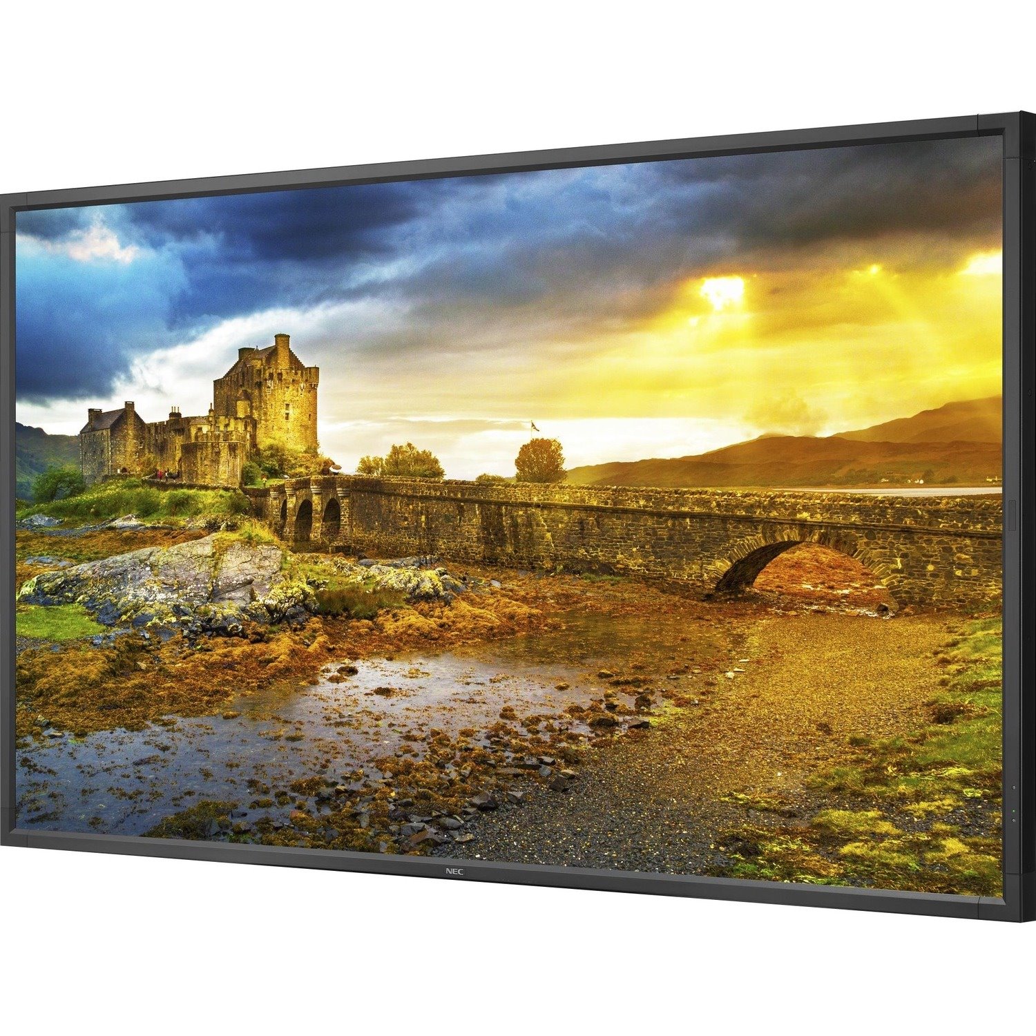 TSItouch NEC X651UHD-2 Digital Signage Display