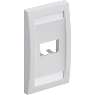 PANDUIT 2-Socket Faceplate