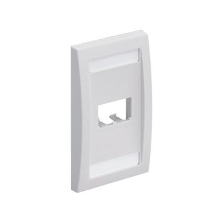 PANDUIT 2-Socket Faceplate