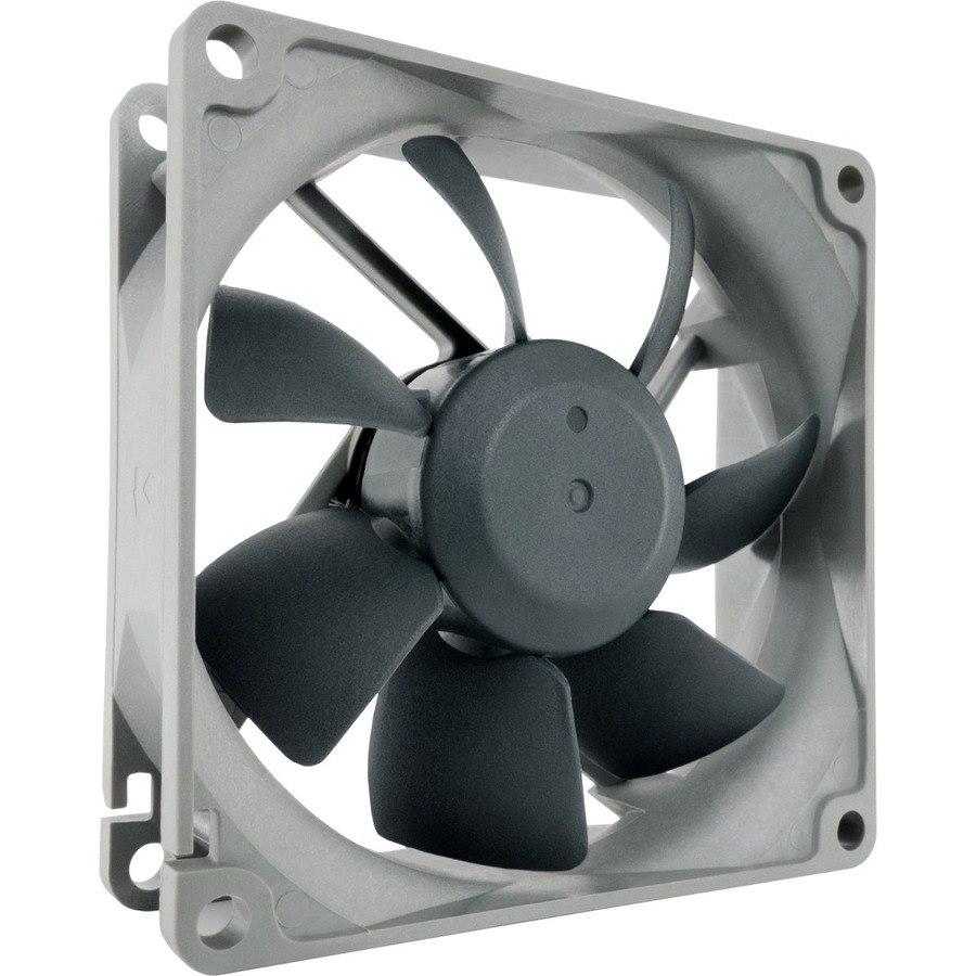 Noctua NF-R8 Cooling Fan