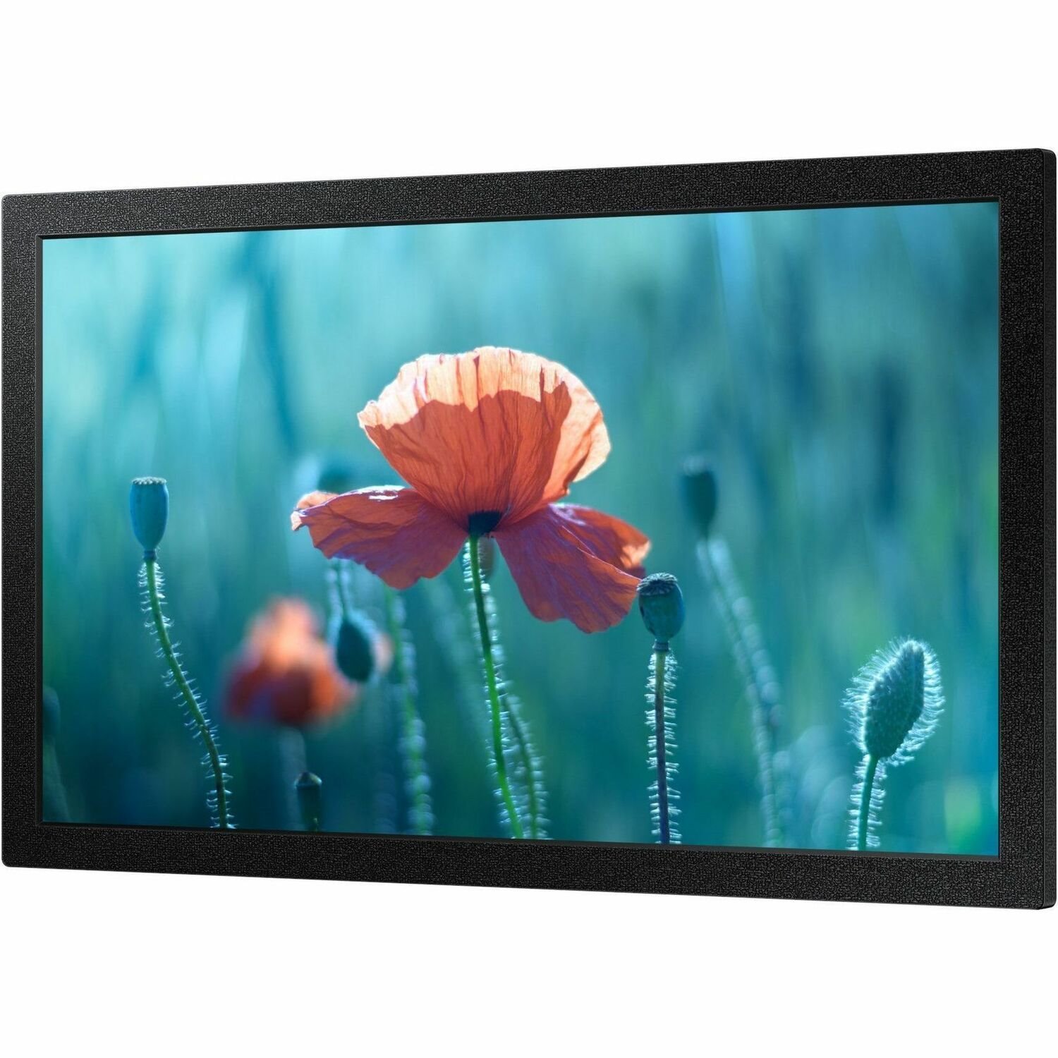 Samsung QB13C 13" Digital Signage Display - 16 Hours/ 7 Days Operation