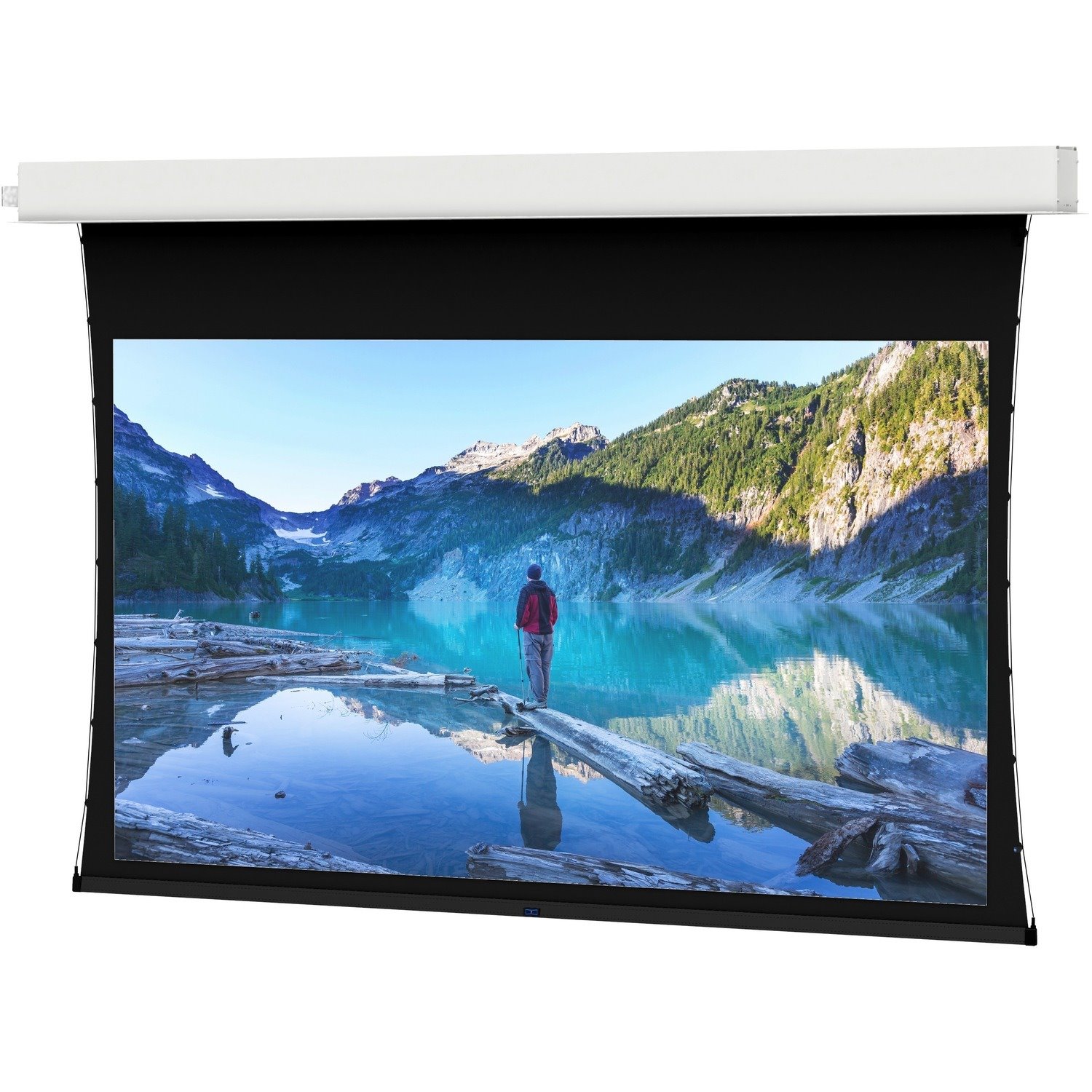 Da-Lite Tensioned Advantage 220" Electric Projection Screen