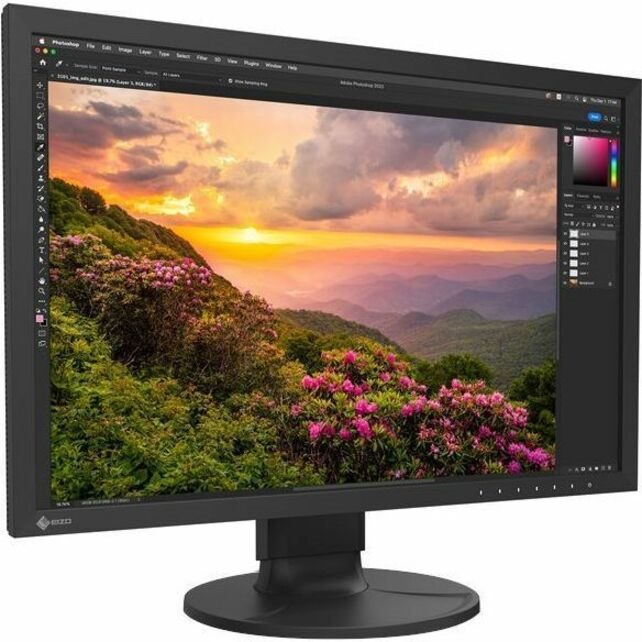 EIZO ColorEdge CS2400S 24" Class WUXGA LED Monitor - 16:10 - Black