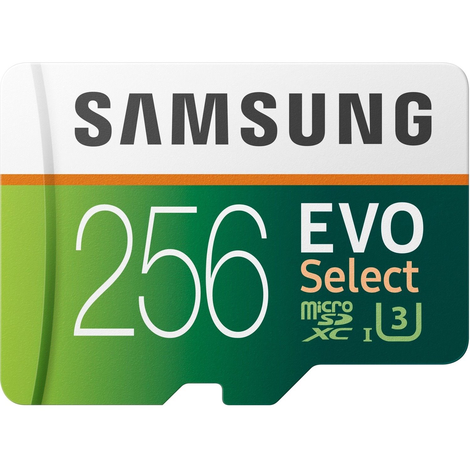 Samsung EVO Select 256 GB Class 10/UHS-I (U3) microSDXC