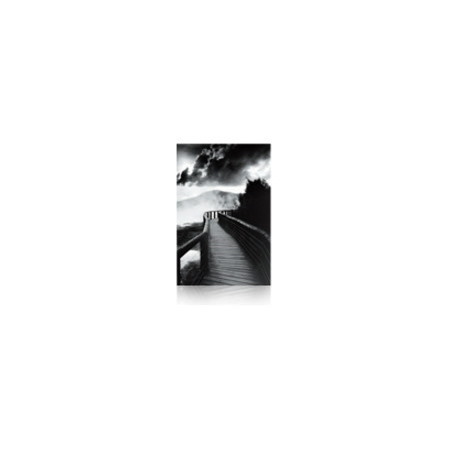 Epson Traditional C13S045051 Photo Paper