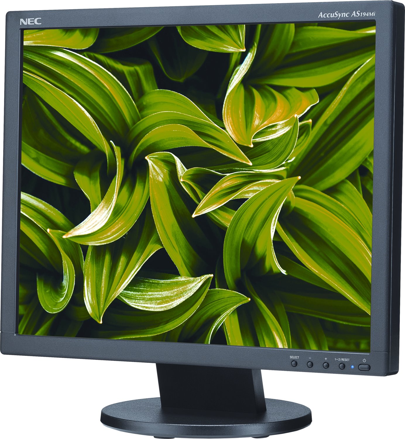 Nec 19" Led Backlit LCD Monitor