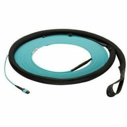 Panduit Fiber Optic Trunk Network Cable