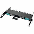 Eaton Tripp Lite Series 100Gb/120Gb Pass-Through Cassette - (x6) 24-Fiber MTP/MPO ( Female )