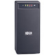 Eaton Tripp Lite Series OmniVS 120V 800VA 475W Line-Interactive UPS, Tower, USB port