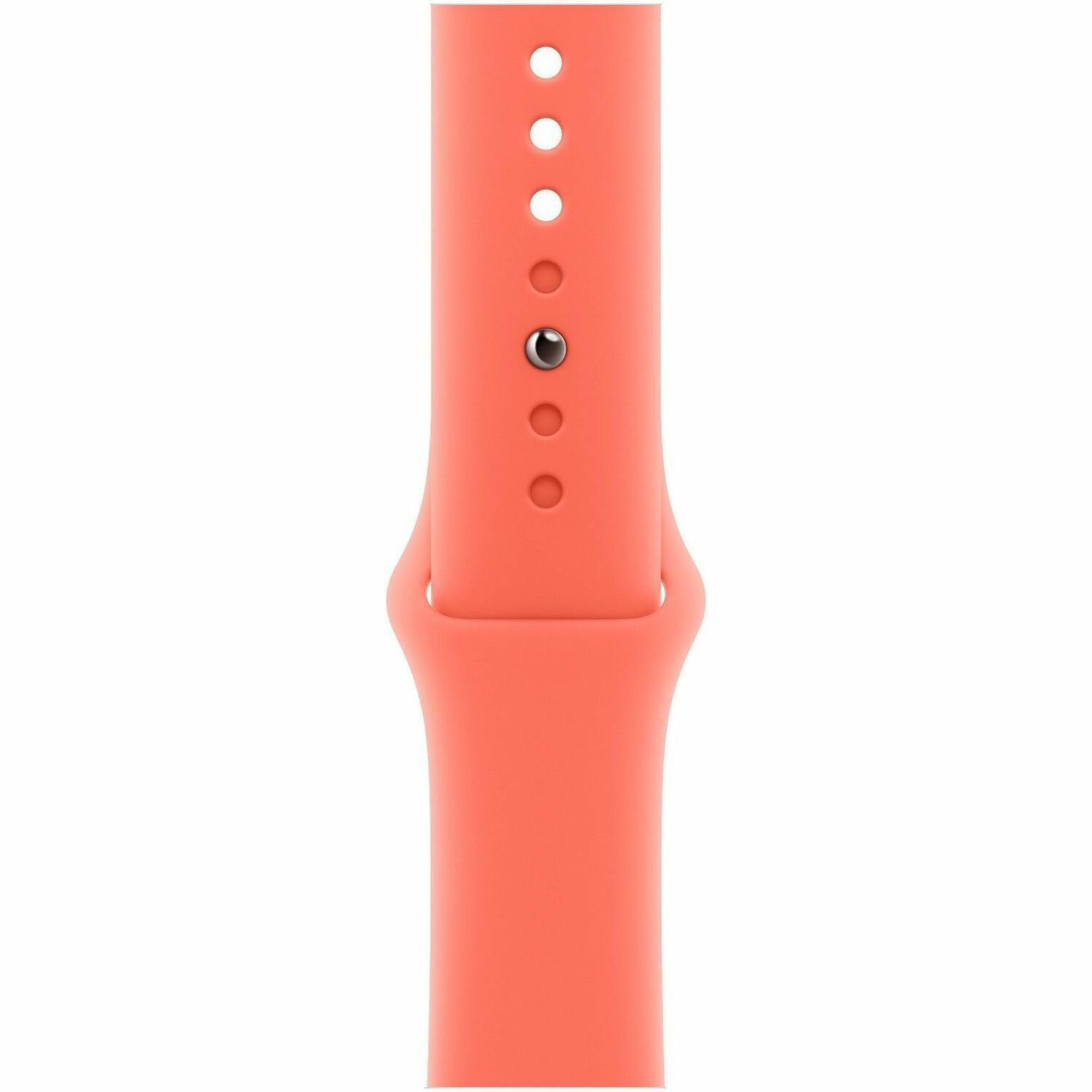 Apple Adjustable Smartwatch Band
