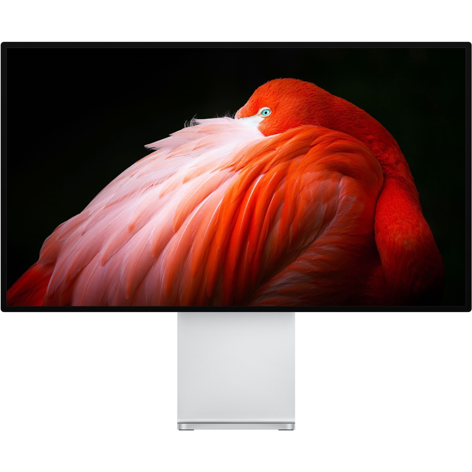 Apple Pro Display XDR - Standard Glass-Caf
