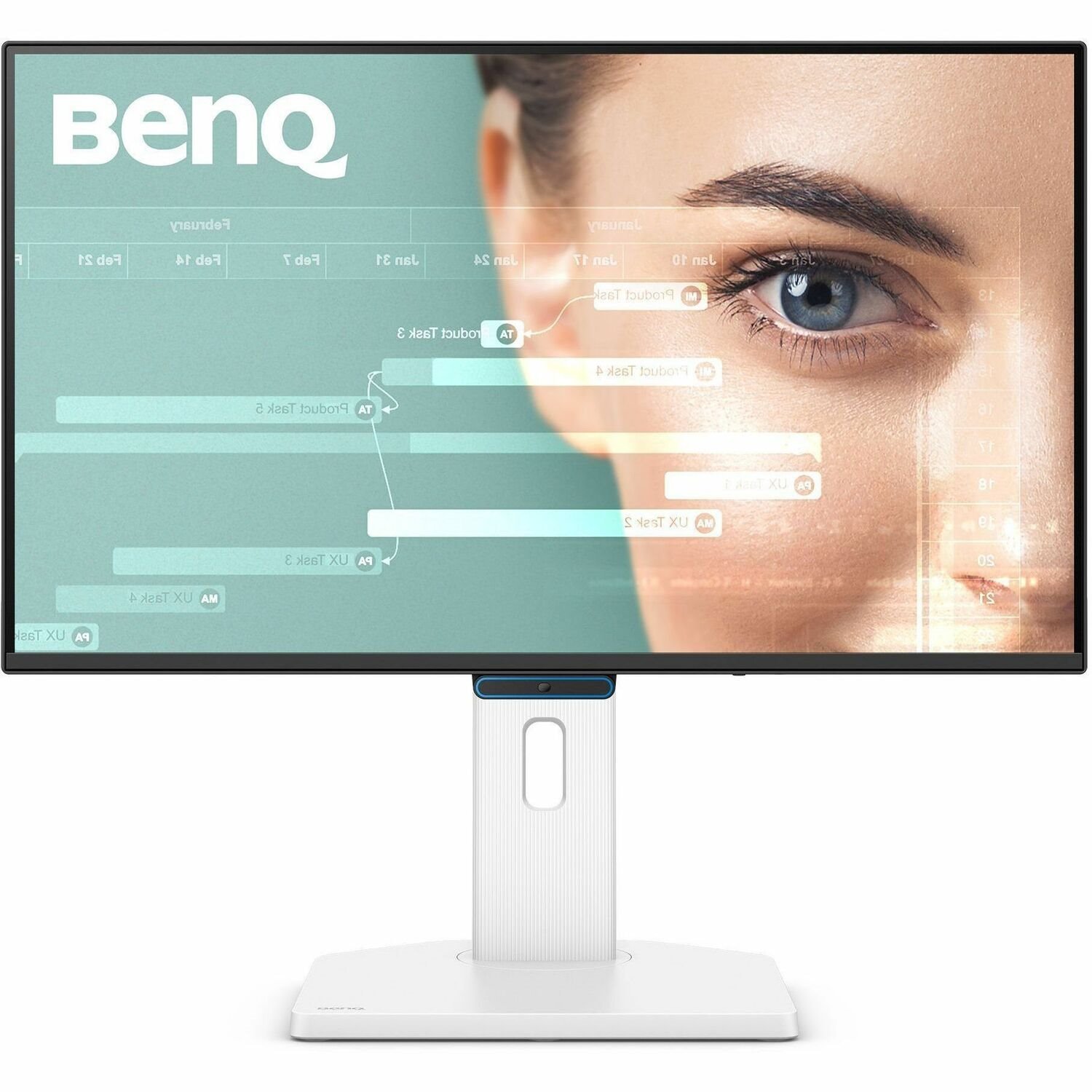 BenQ GW2490TC 24" Class Full HD LED Monitor - 16:9