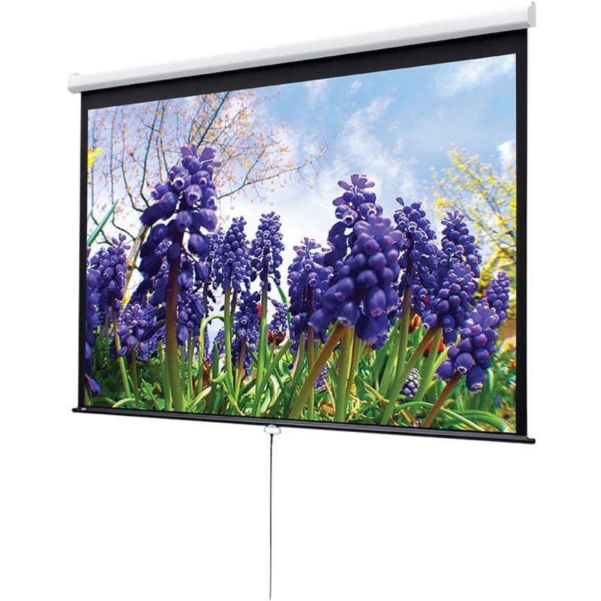 Draper Luma Manual Wall and Ceiling Projection Screen