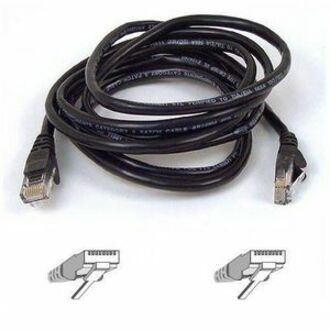 Belkin Cat6 Patch Cable