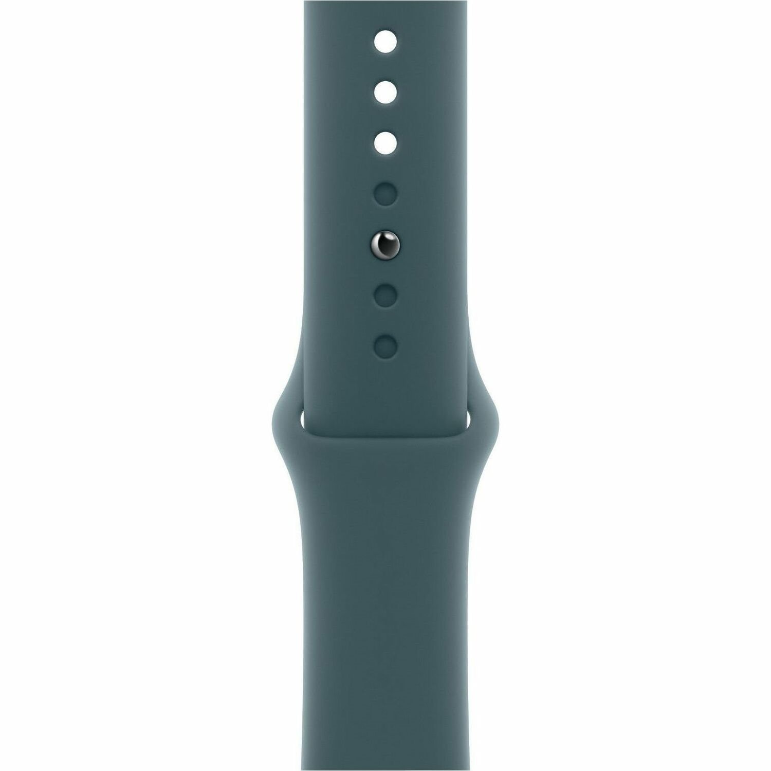 Apple Adjustable Smartwatch Band