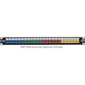 Black Box Multimedia Patch Panel - 1U, 24-Port