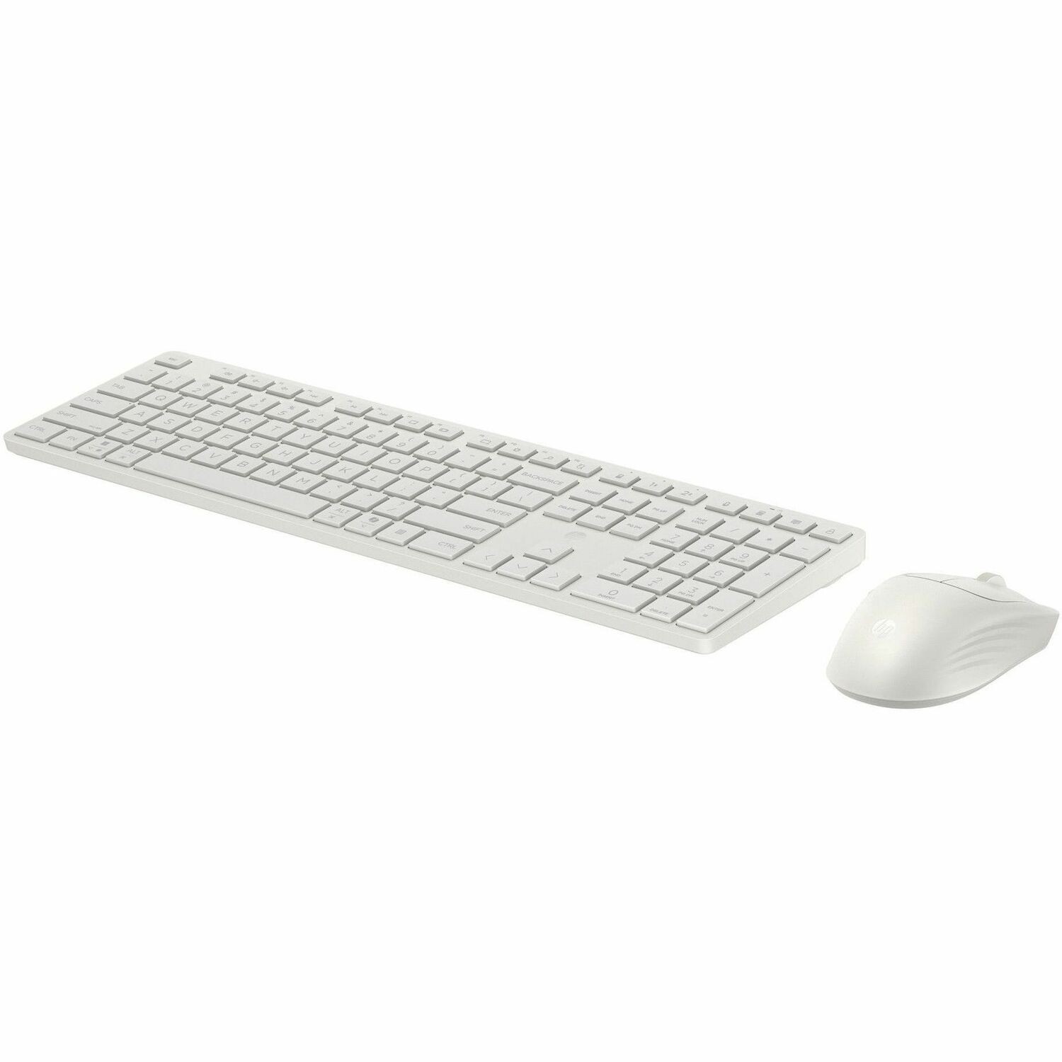 HP 490C Toetsenbord en muis