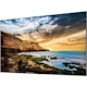 Samsung 75" Professional Display QET Series