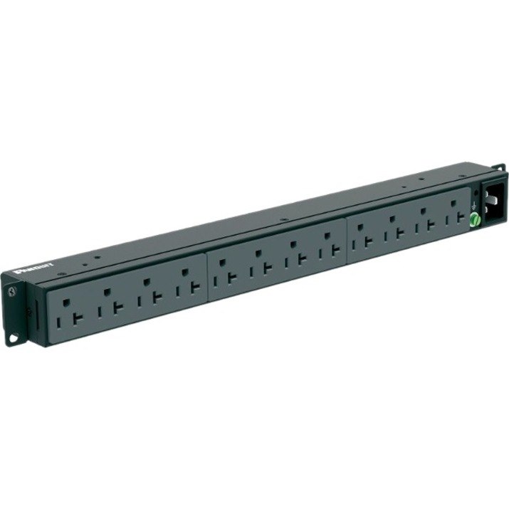 Panduit P12B19M Horizontal Basic Power Distribution Unit