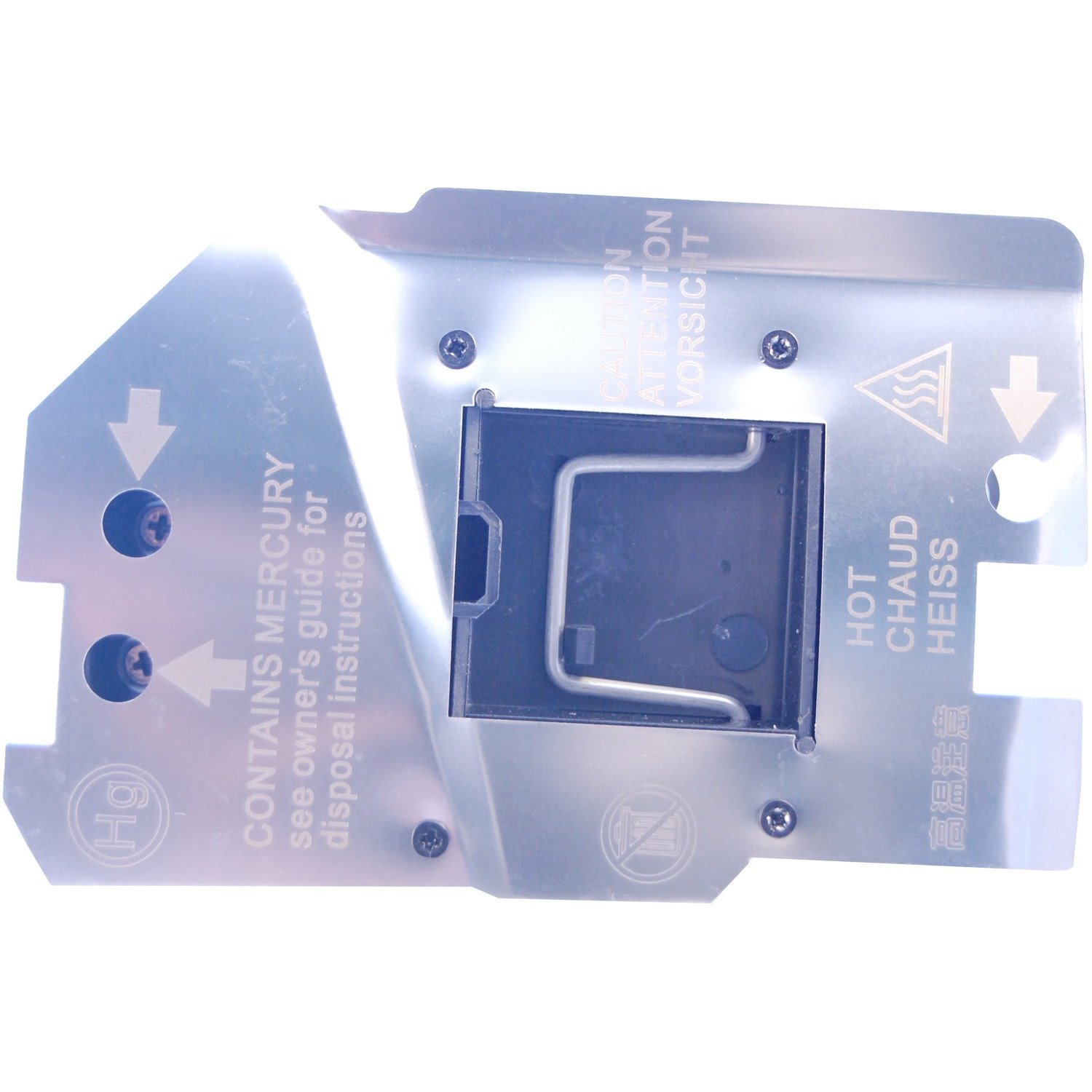 DataStor Projector Lamp