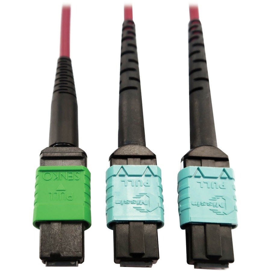 Eaton Tripp Lite Series 400G Multimode 50/125 OM4 Plenum Fiber Optic Cable, 16F MTP/MPO-APC to (x2) 12F MTP/MPO-UPC (F/F), Magenta, 3 m